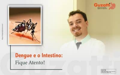 Den­gue e o Intes­ti­no: Fique Atento!